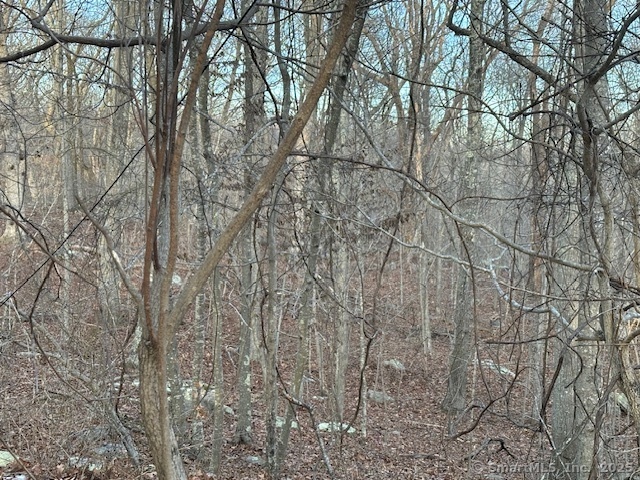 Kelseytown Bridge Road, Clinton, Connecticut image 3