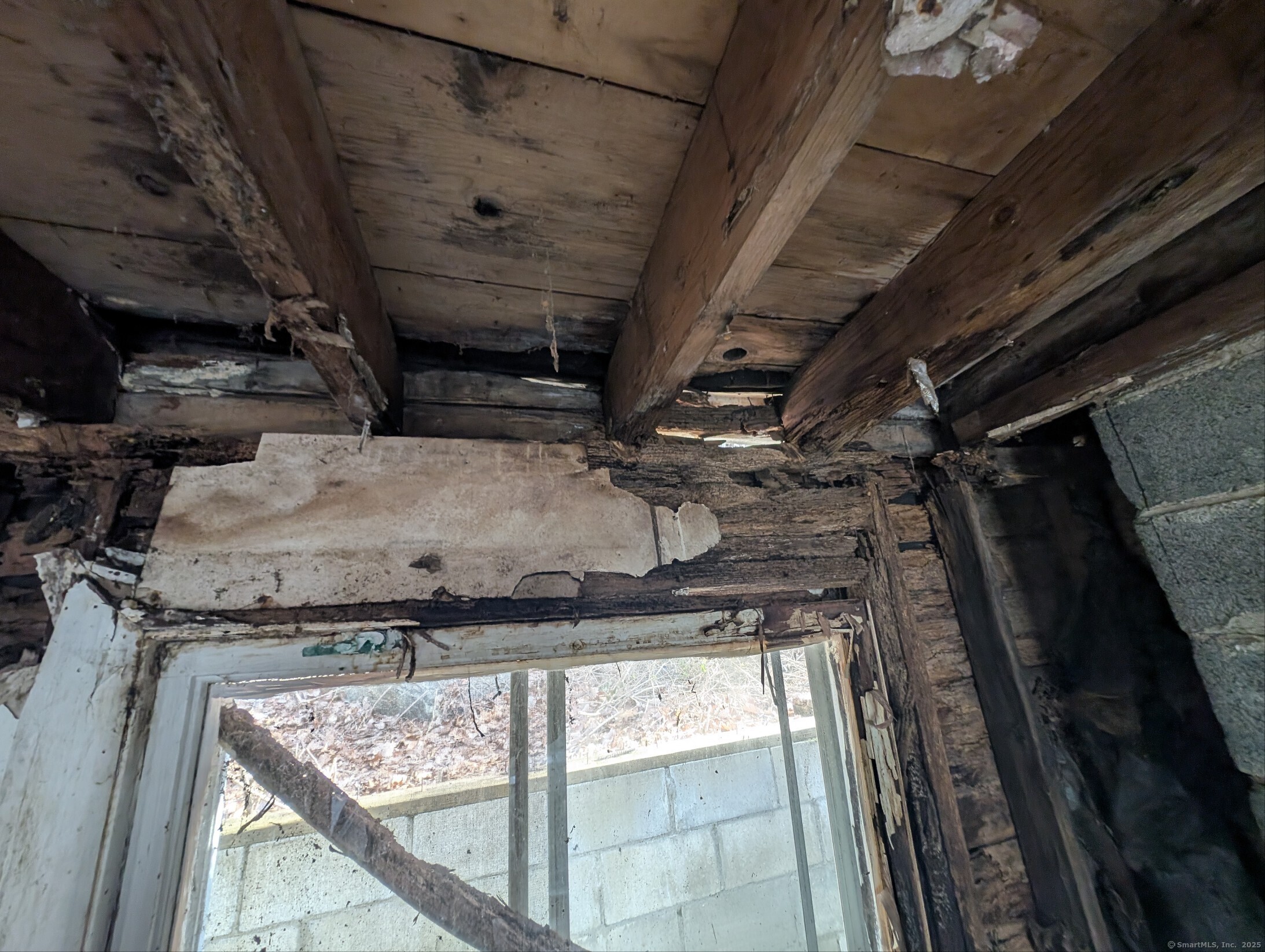 256 Roosevelt Drive, Seymour, Connecticut image 6