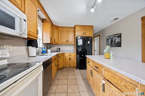 Tiny photo for 14 Jason Court, Naugatuck, CT 06770 (MLS # 24195236)