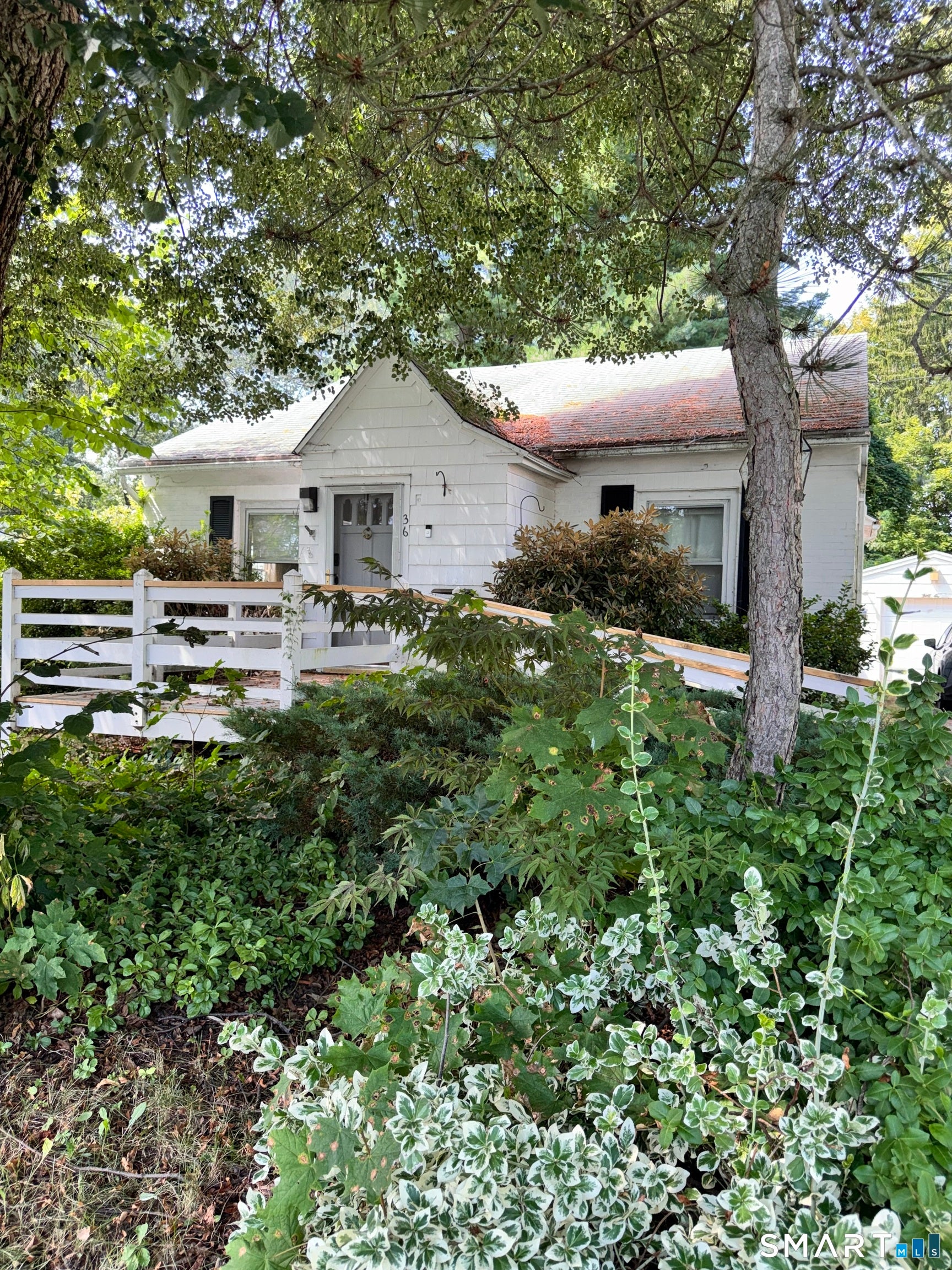 36 Hale St Extension