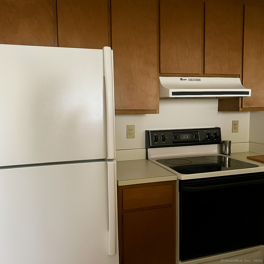 163 South Street #60, Danbury, Connecticut image 3