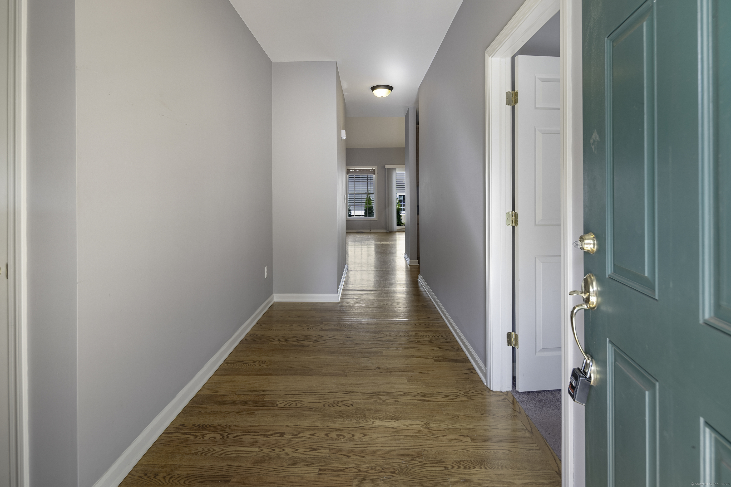 8 Constitution Drive