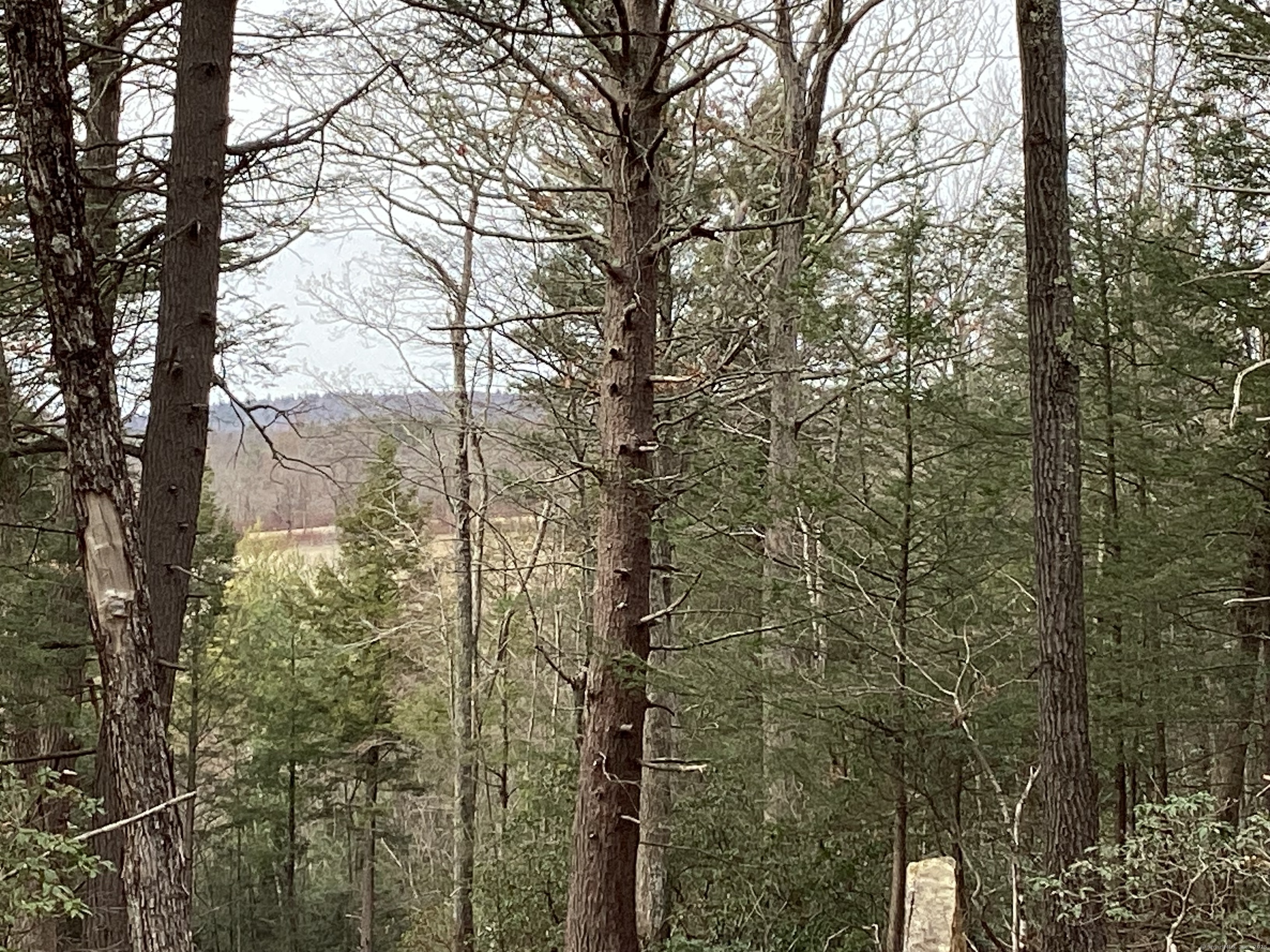 Cornwall East Road, Goshen, Connecticut image 5