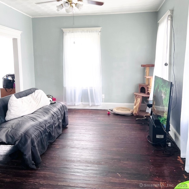 22 Webb Street, Hamden, Connecticut image 6
