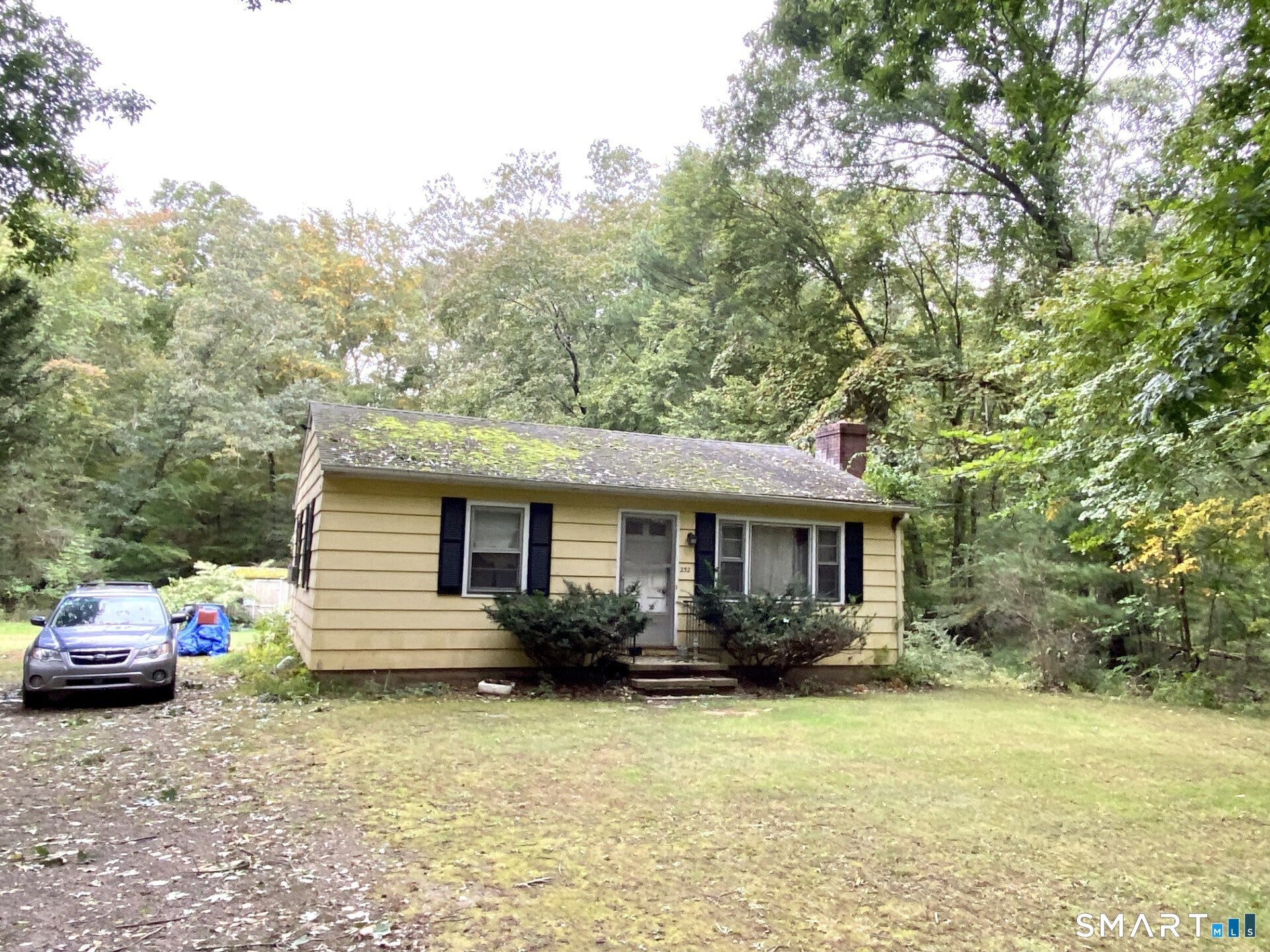 232 Maupas Road