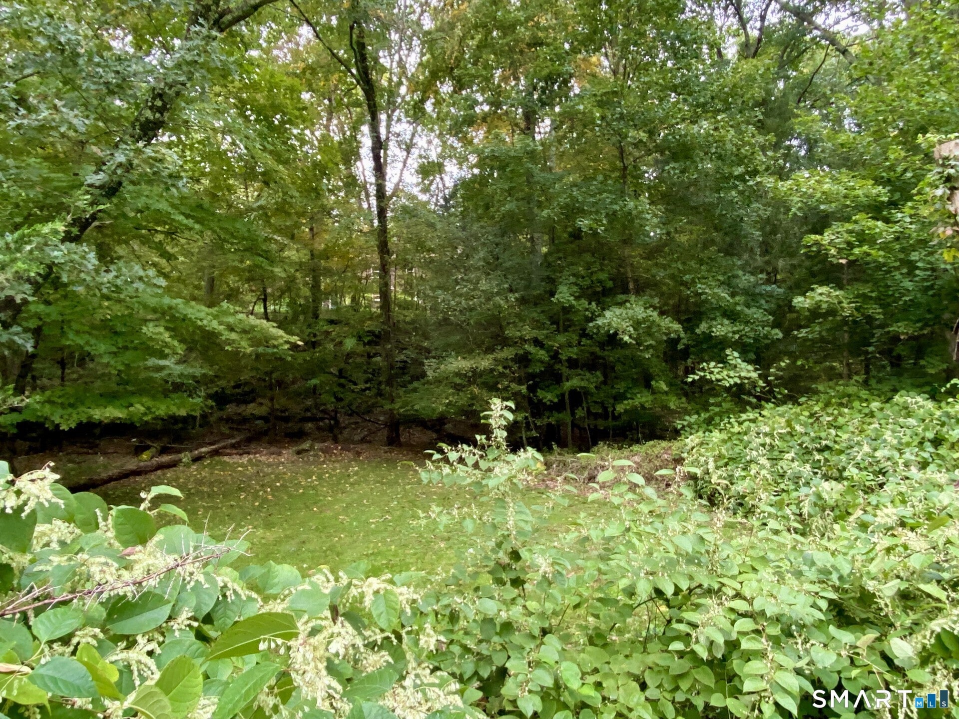 232 Maupas Road