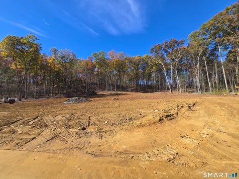 Tiny photo for 61 Lohse Road, Willington, CT 06279 (MLS # 24216427)