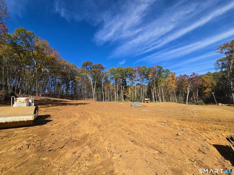 Tiny photo for 61 Lohse Road, Willington, CT 06279 (MLS # 24216427)