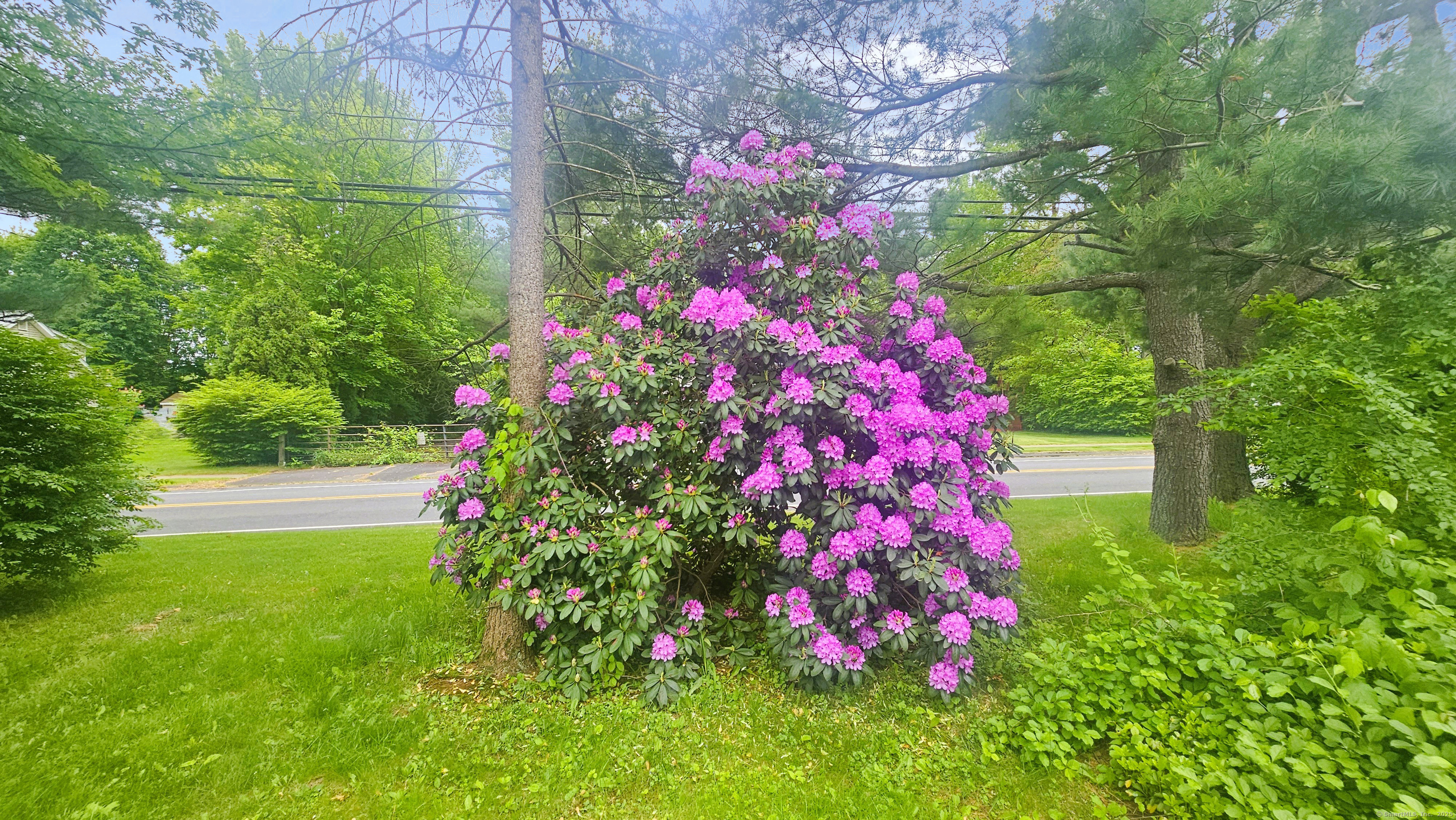 19 Weymouth Road, Enfield, Connecticut image 7