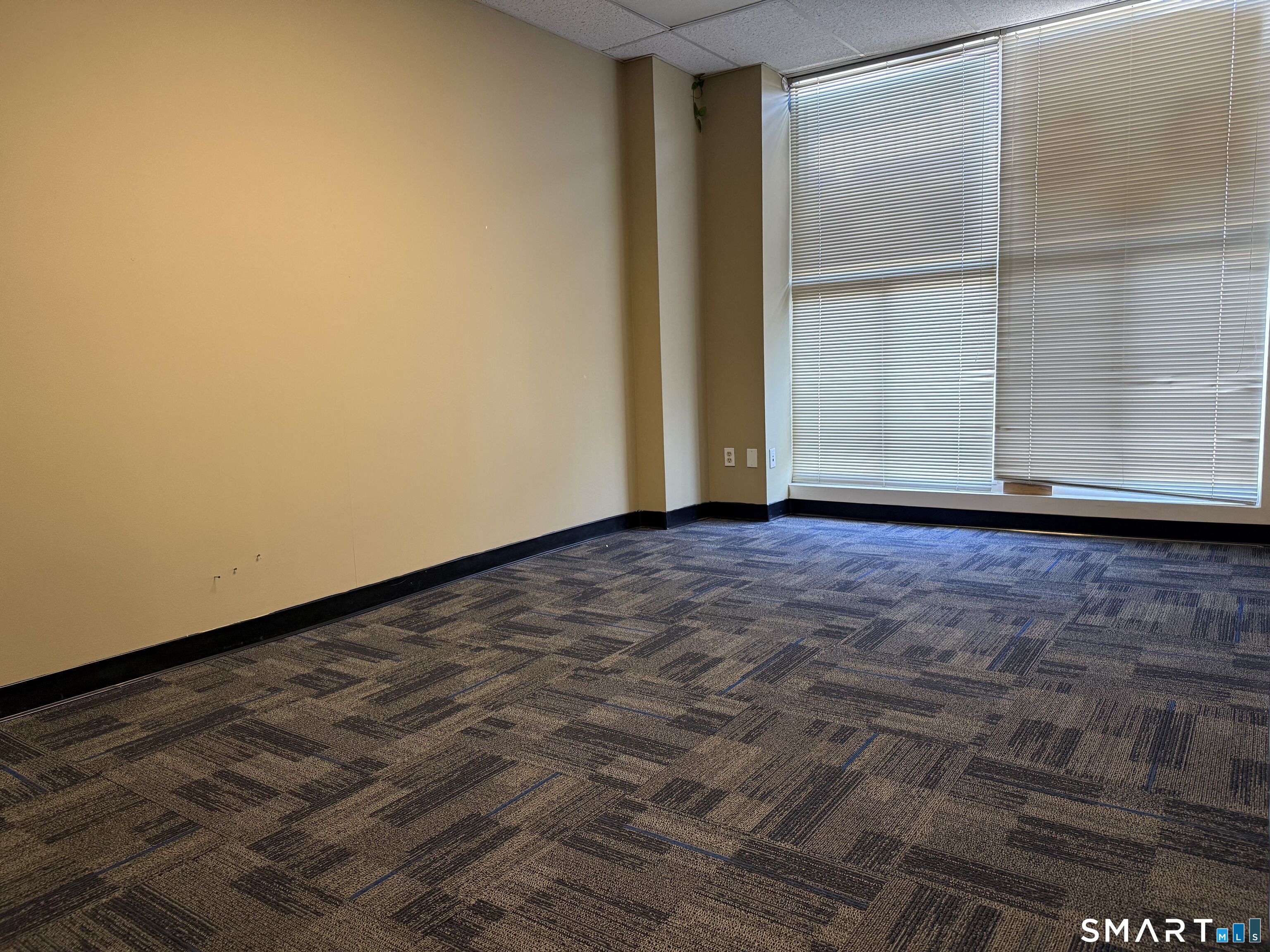 246 Federal Road STE C22