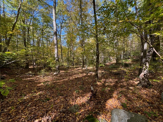 428 PLAINS RD, HADDAM, CT 06438 - Image b2e1f732c6891ea645c970ef55ebe90f/3187928672