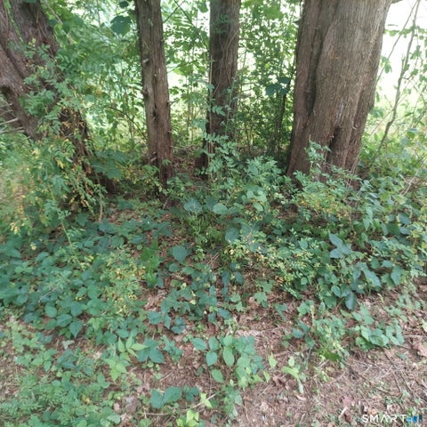 Tiny photo for 375 Hartford Road, Salem, CT 06420 (MLS # 24195880)