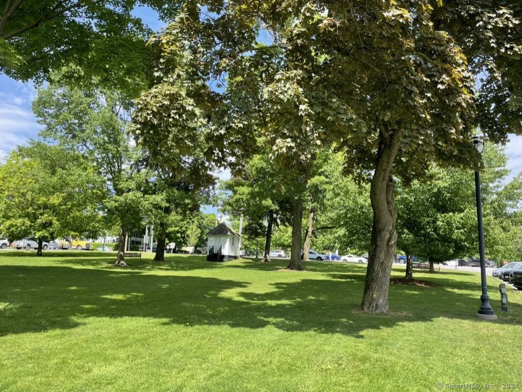 154 Hunter Drive #154, Litchfield, Connecticut image 33