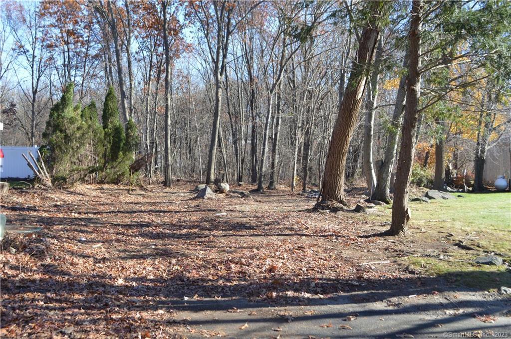 Arvida Road, Wolcott, Connecticut image 3