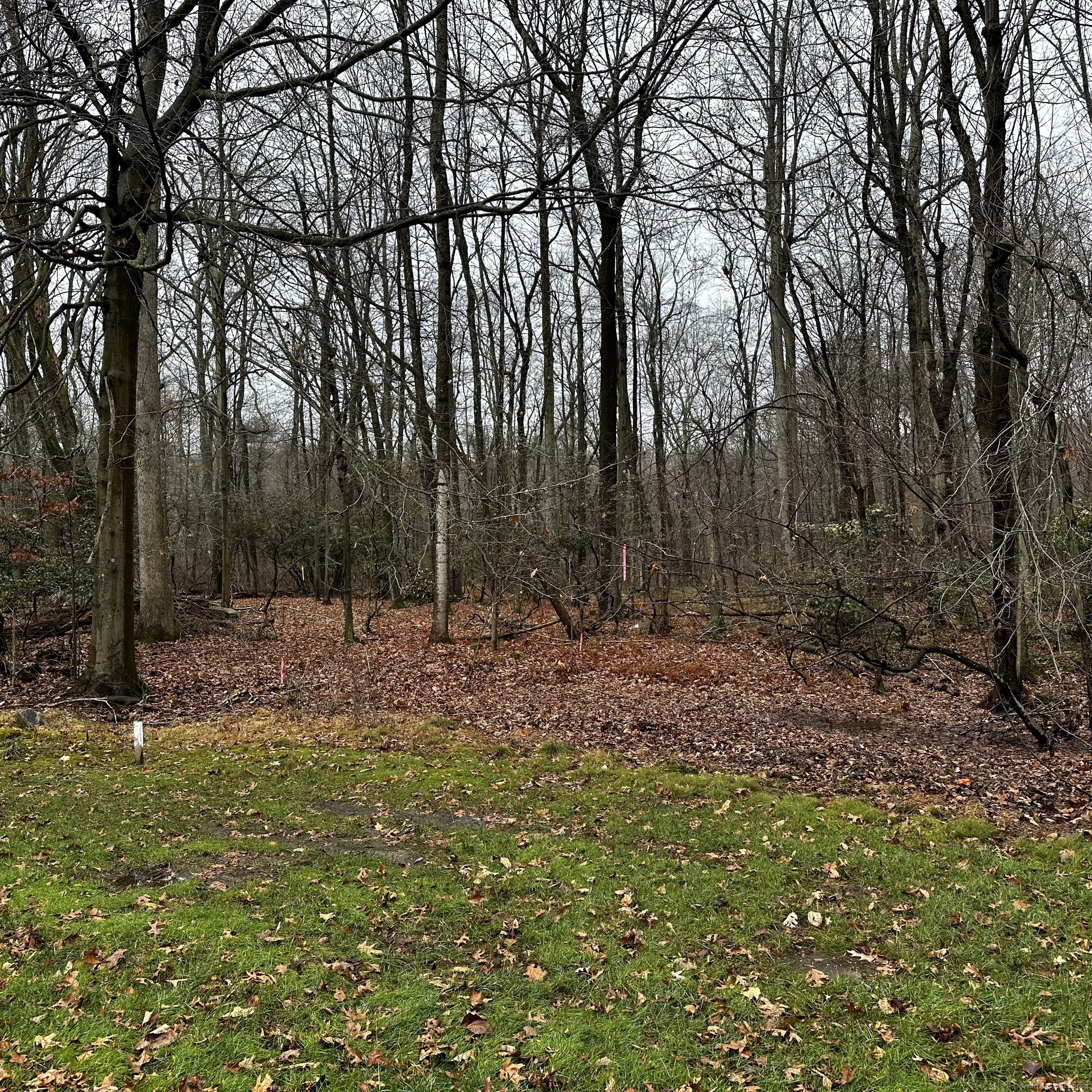 Lot 53 Michigan Road, New Canaan, Connecticut image 3