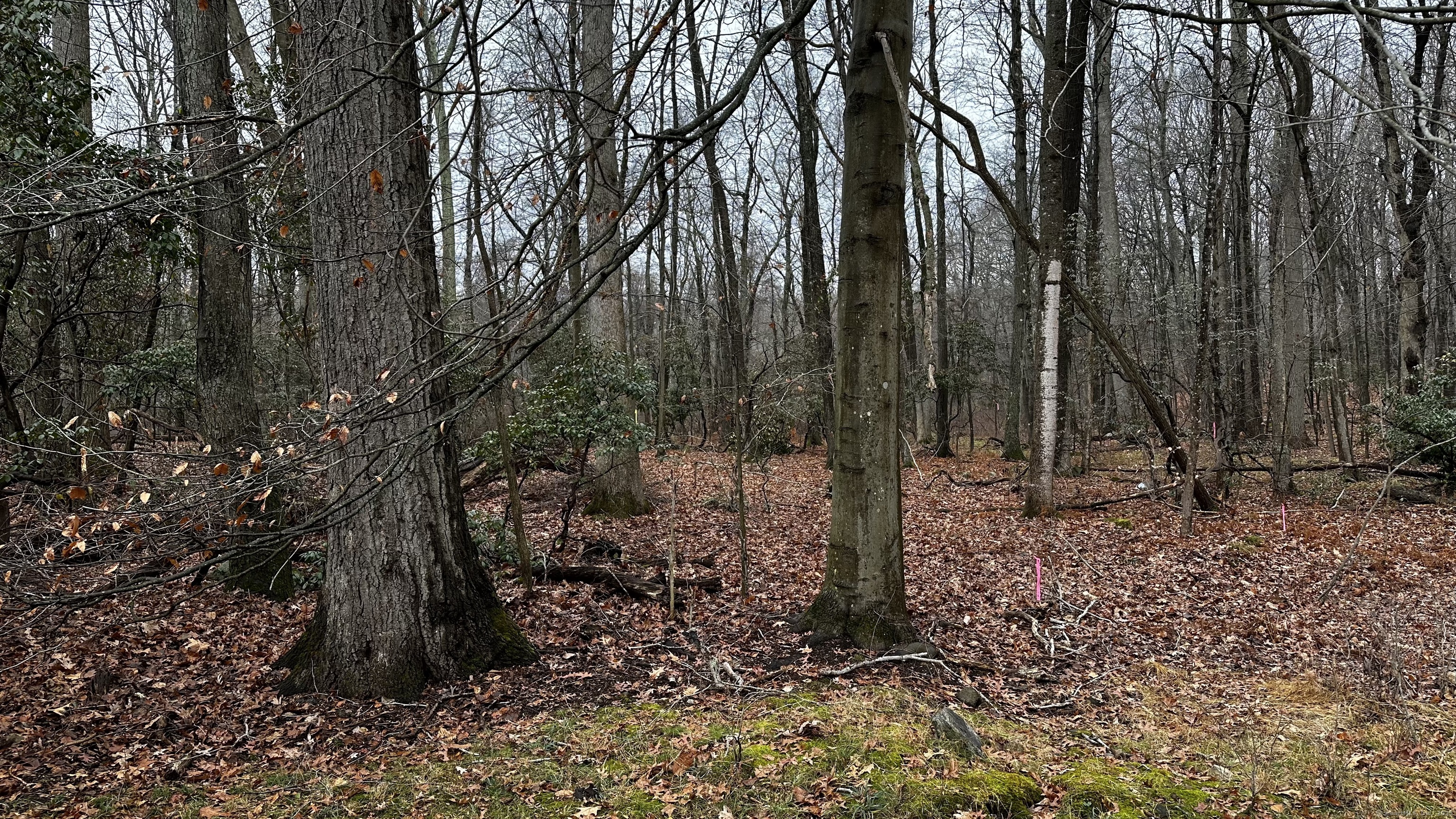 Lot 53 Michigan Road, New Canaan, Connecticut image 2