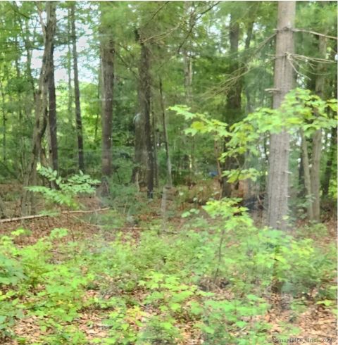 Oak Drive LOT 33 Mansfield CT 06250