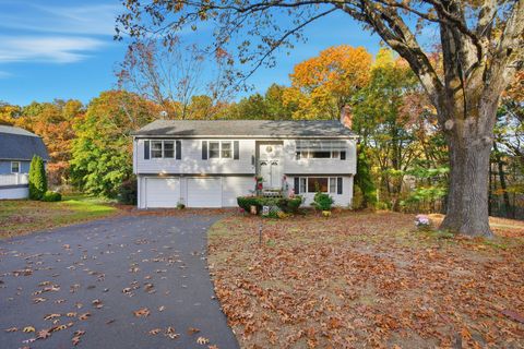 4 Woodland Hollow Street Windsor Locks CT 06096