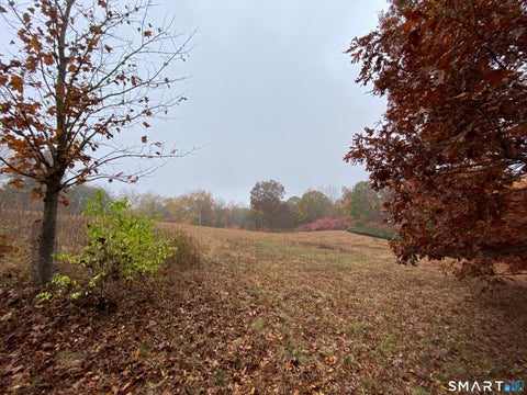 Tiny photo for 123 Looking Glass Hill Road, Morris, CT 06763 (MLS # 24216087)
