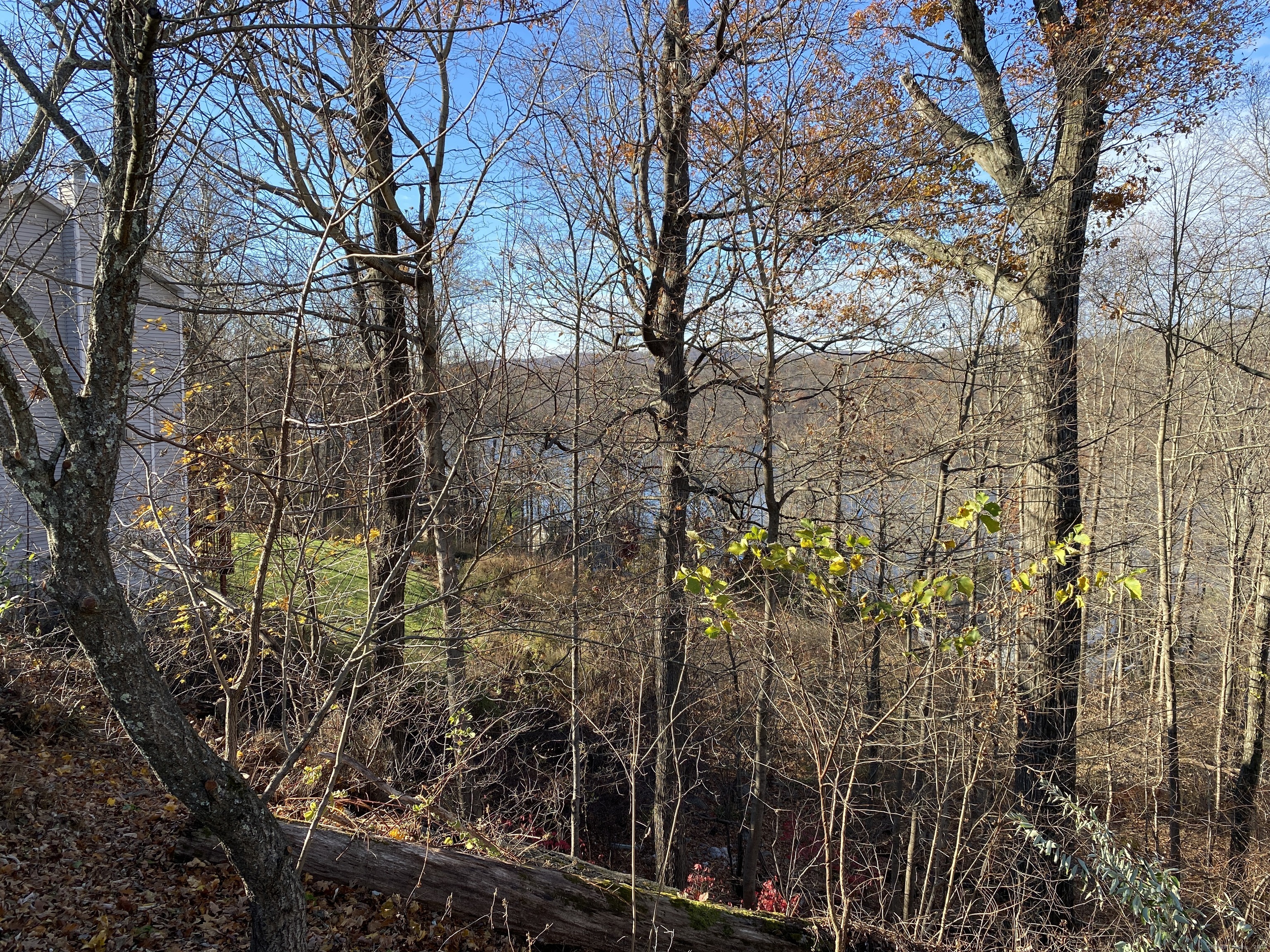 126 Carmen Hill Road