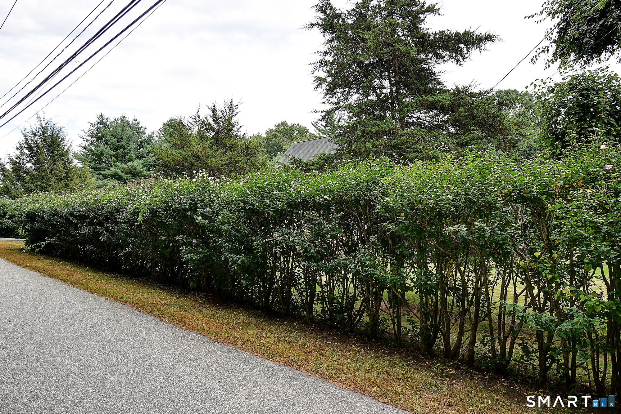 66 Sugar Hill Road
