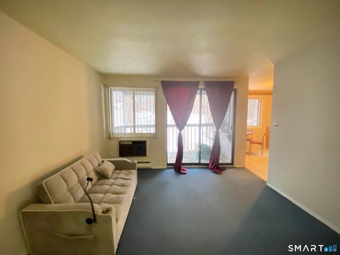 Tiny photo for 7 Padanaram Road #J243, Danbury, CT 06811 (MLS # 24146035)