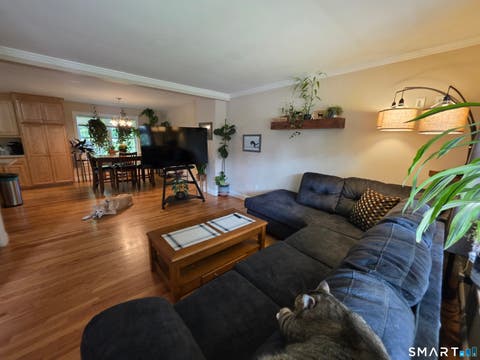 Tiny photo for 71 Lakeview Road, Plymouth, CT 06786 (MLS # 24198896)