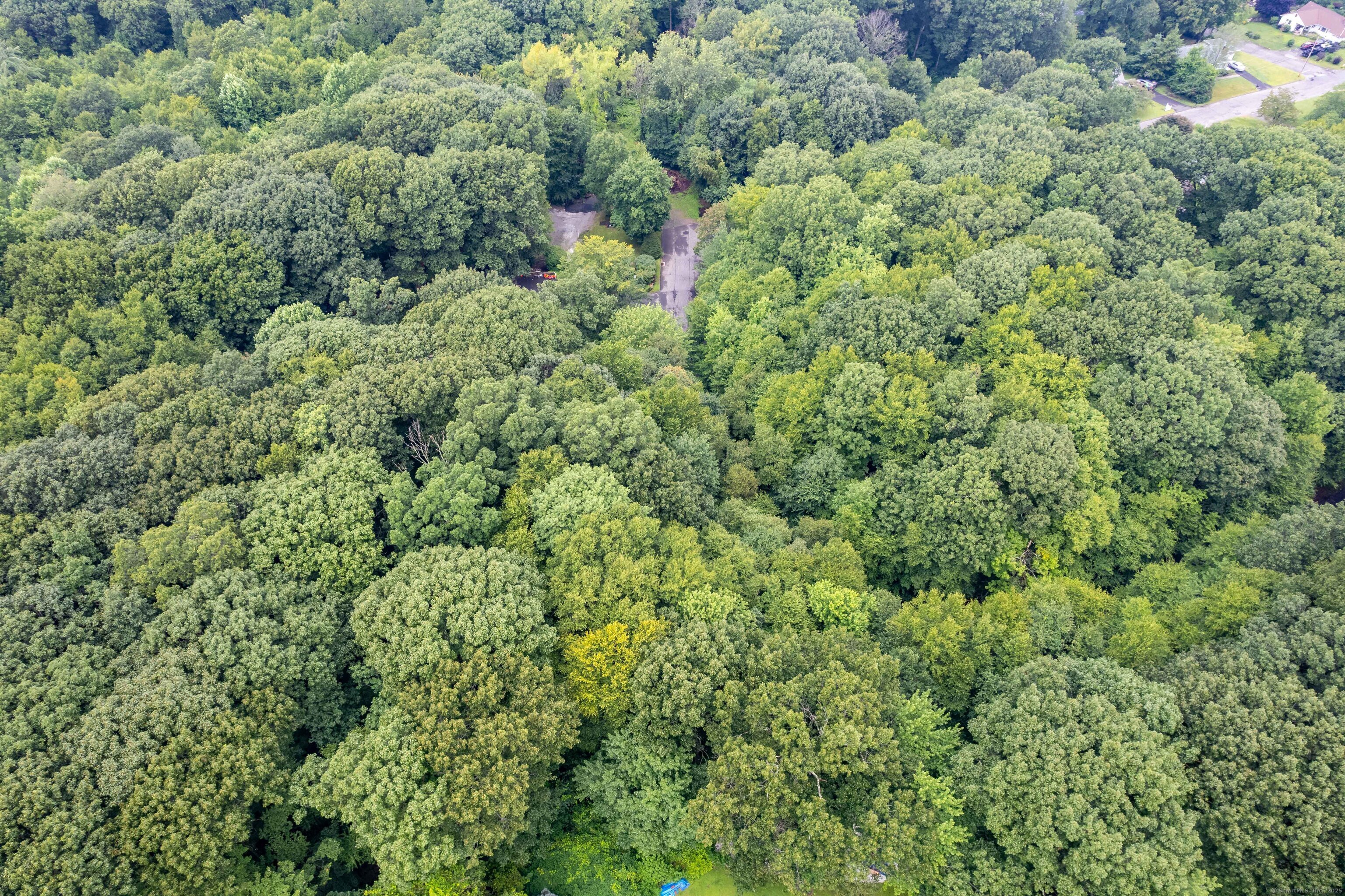 Crystal Lake Road, Ellington, Connecticut image 13