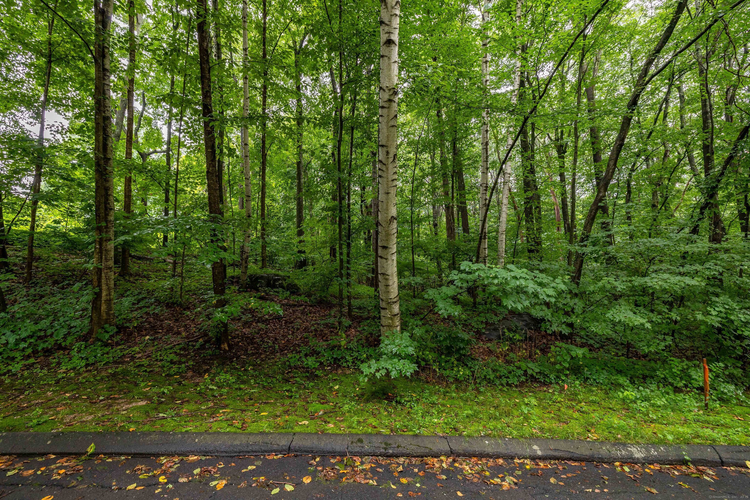 Crystal Lake Road, Ellington, Connecticut image 3