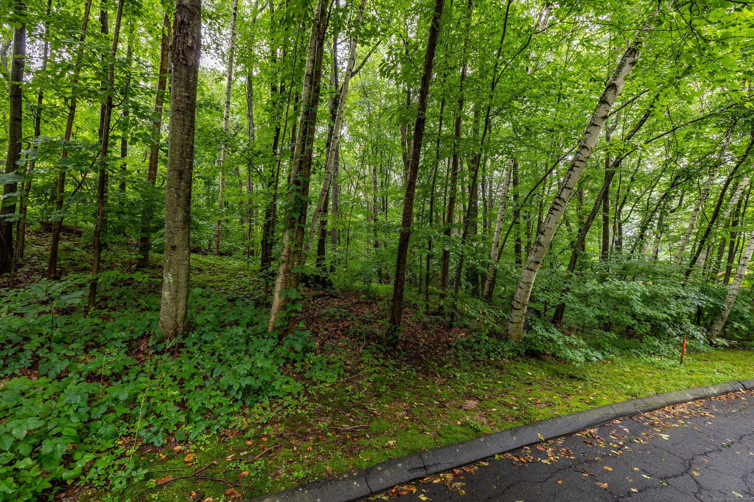 Crystal Lake Road, Ellington, Connecticut image 2