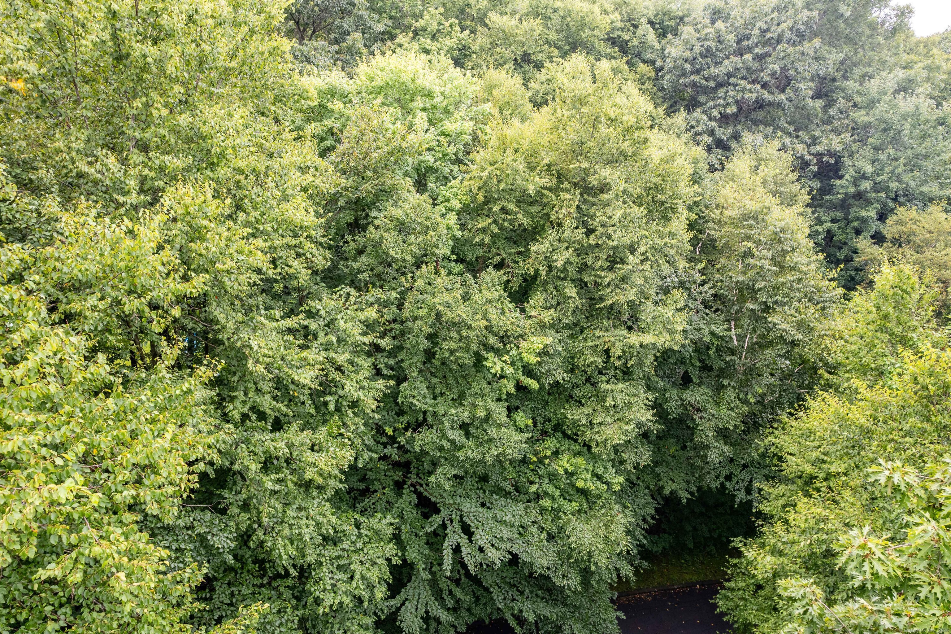 Crystal Lake Road, Ellington, Connecticut image 4