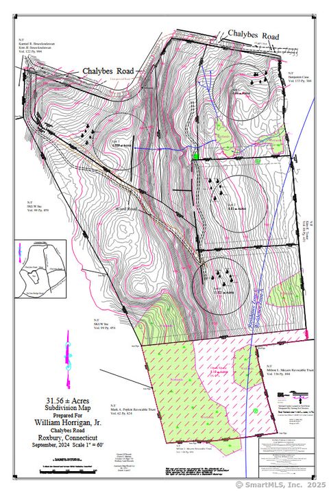 Tiny photo for 103A Chalybes Road W, Roxbury, CT 06783 (MLS # 24104762)