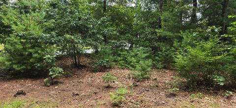 Tiny photo for 185 West Avon Road, Avon, CT 06001 (MLS # 24169475)