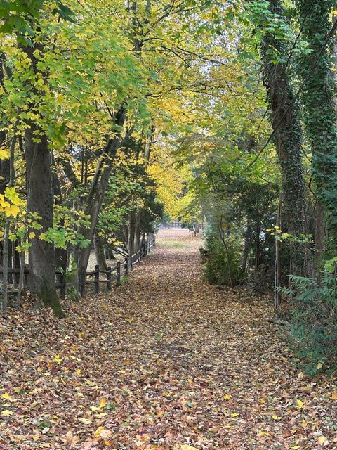 39 Noroton Avenue Darien CT 06820