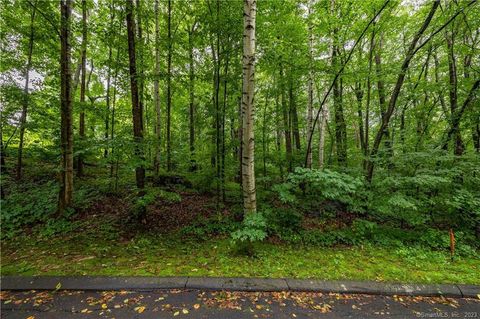 Vacant Land For Sale - 1 Michael Drive<br/> Plymouth, CT 06786