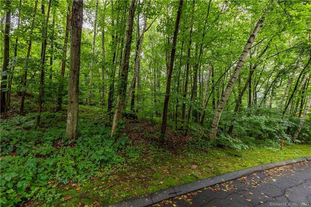 1 Michael Drive, Plymouth, Connecticut image 3