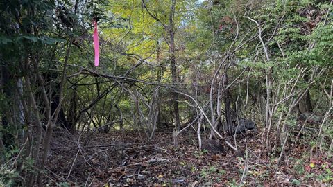 Tiny photo for 89 Canterbury Turnpike, Norwich, CT 06360 (MLS # 24137389)