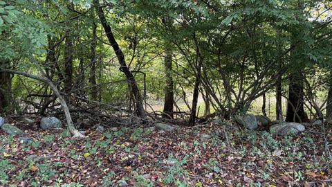 Tiny photo for 89 Canterbury Turnpike, Norwich, CT 06360 (MLS # 24137389)