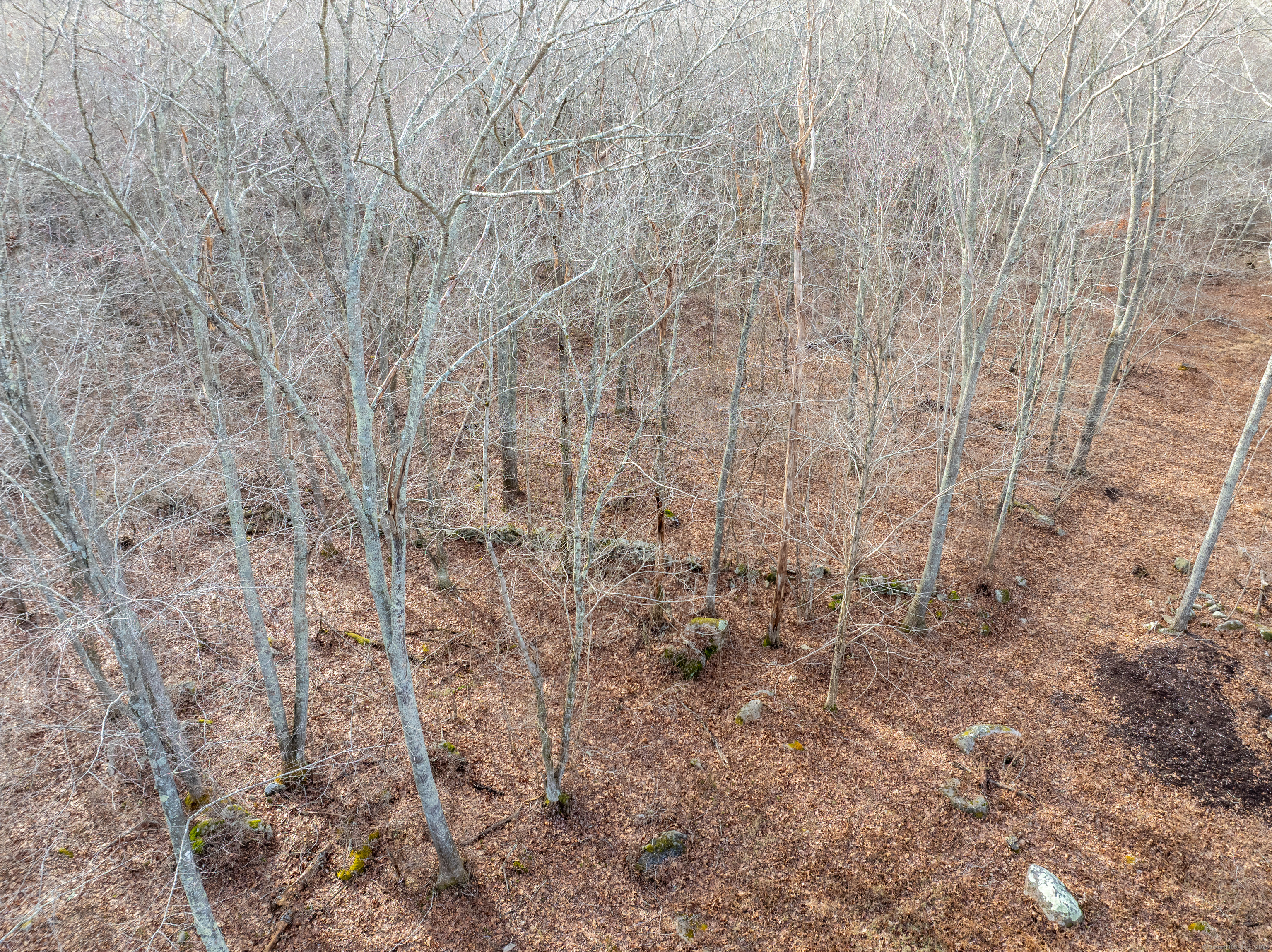 447 New London Turnpike, Stonington, Connecticut image 7