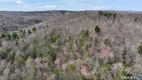 Vacant Land For Sale - Prock Hill Road<br/> Colebrook, CT 06021