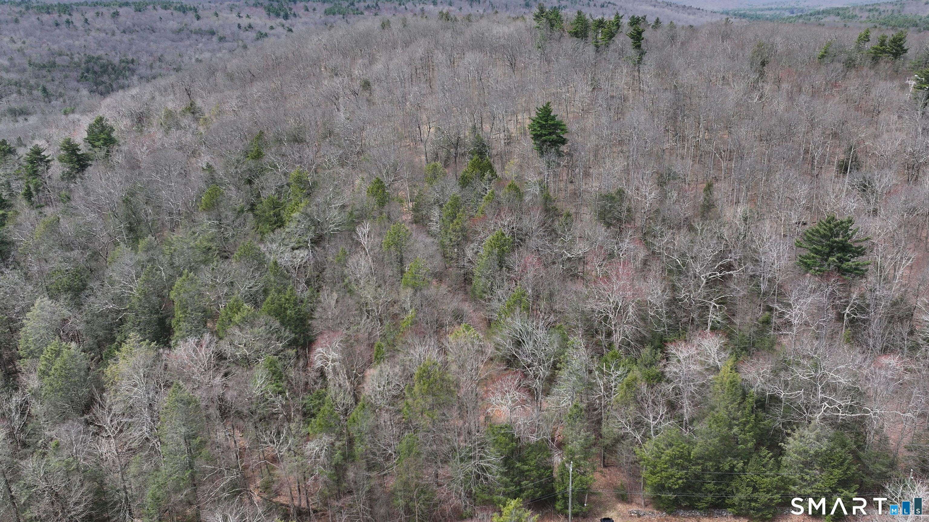 Prock Hill Road