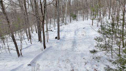 Tiny photo for Prock Hill Road, Colebrook, CT 06021 (MLS # 24144226)