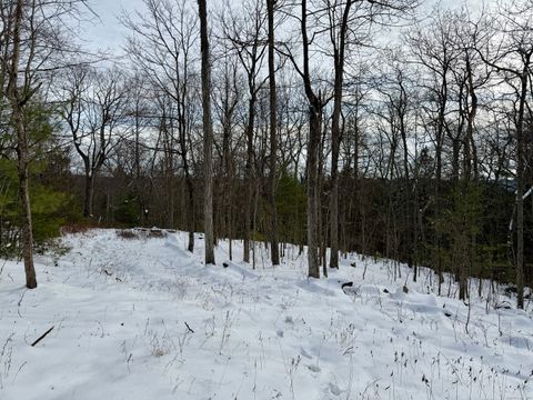 Tiny photo for Prock Hill Road, Colebrook, CT 06021 (MLS # 24144226)