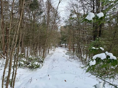 Tiny photo for Prock Hill Road, Colebrook, CT 06021 (MLS # 24144226)