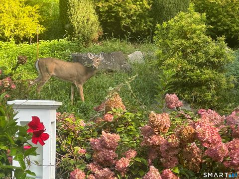 Tiny photo for 227 Dublin Hill Road, Southbury, CT 06488 (MLS # 24153354)