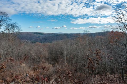 Vacant Land For Sale - Swaller Hill Road<br/> Sharon, CT 06069