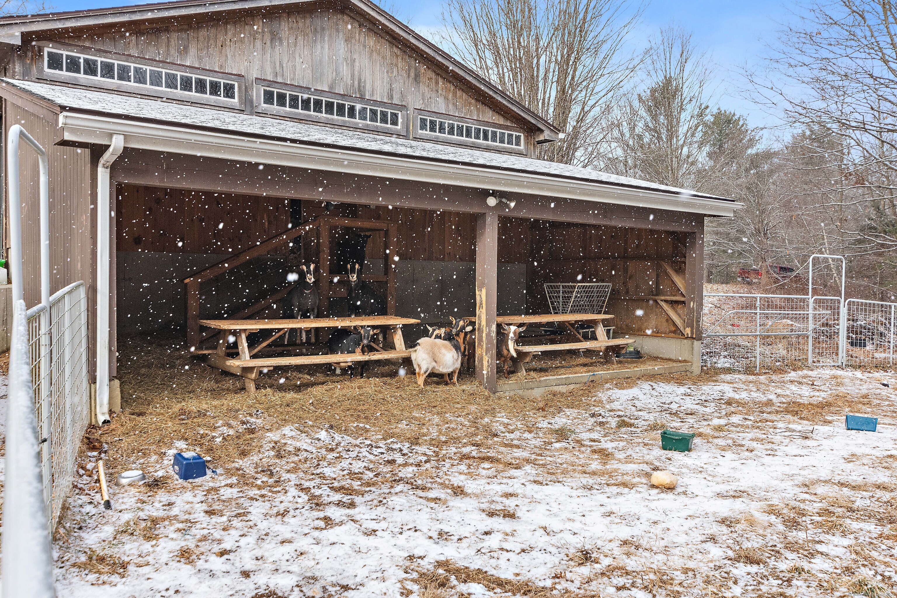 513 Buckley Highway, Union, Connecticut image 28
