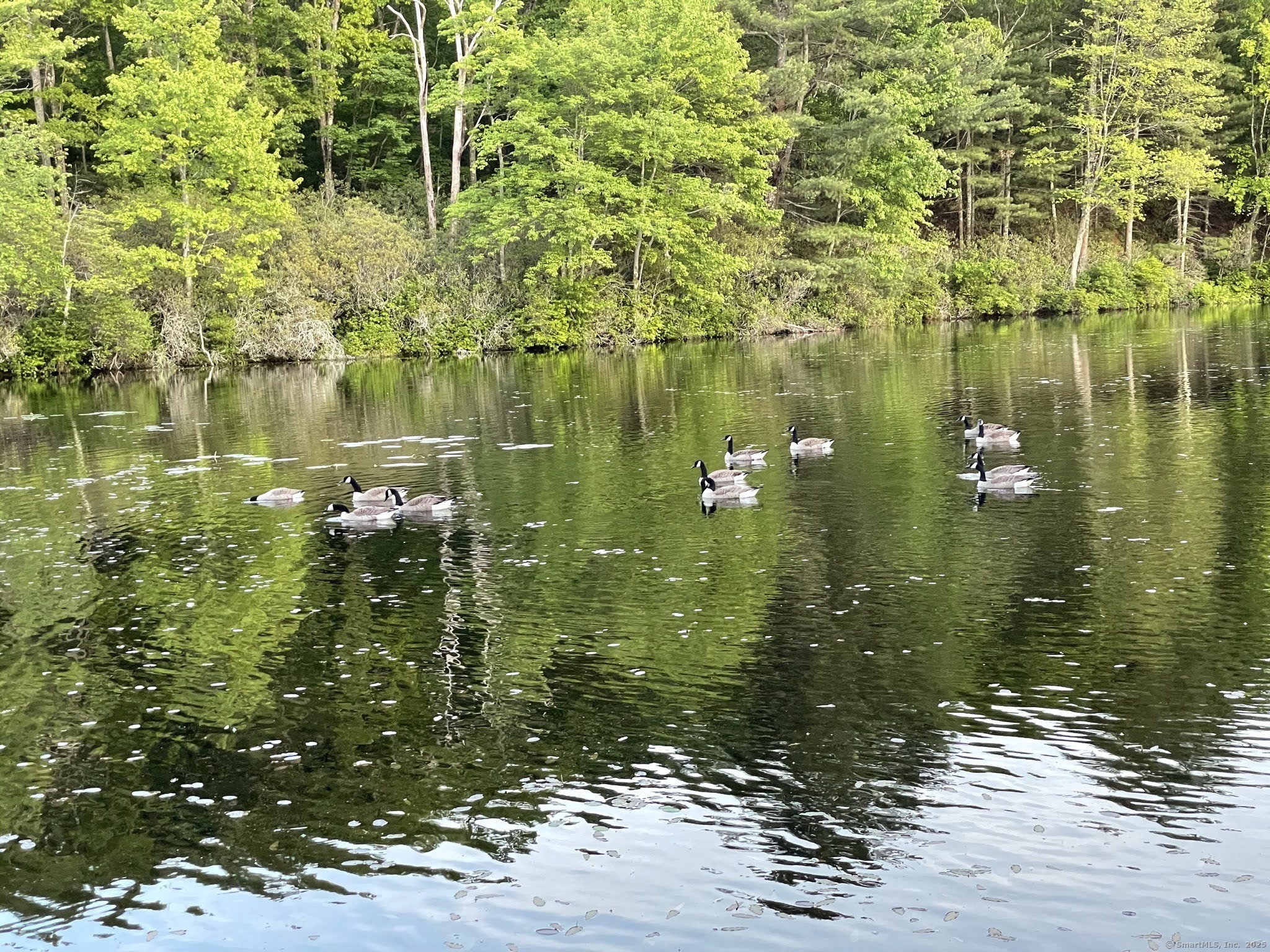 513 Buckley Highway, Union, Connecticut image 34