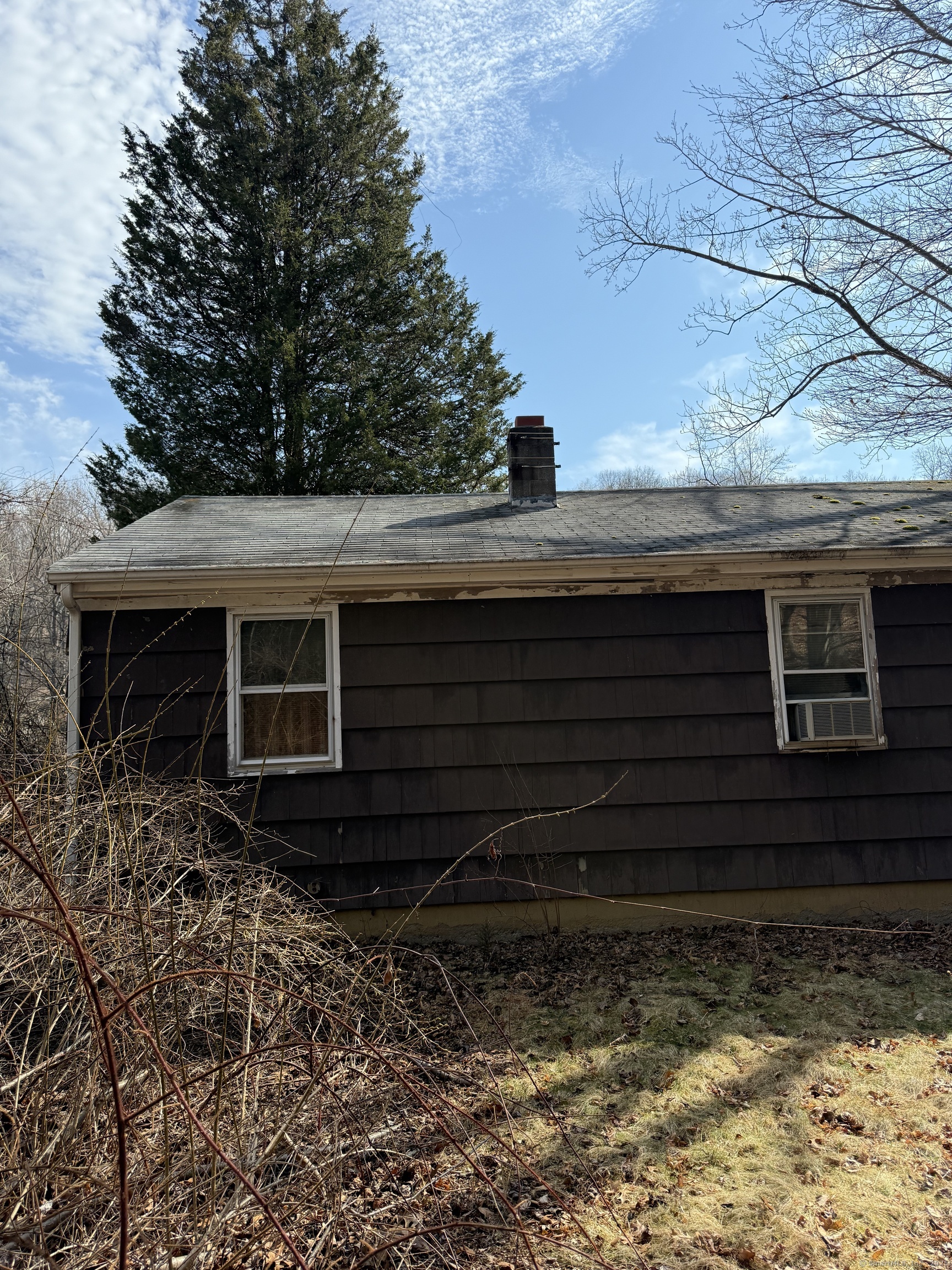 50 Laurel Avenue, Derby, Connecticut image 6