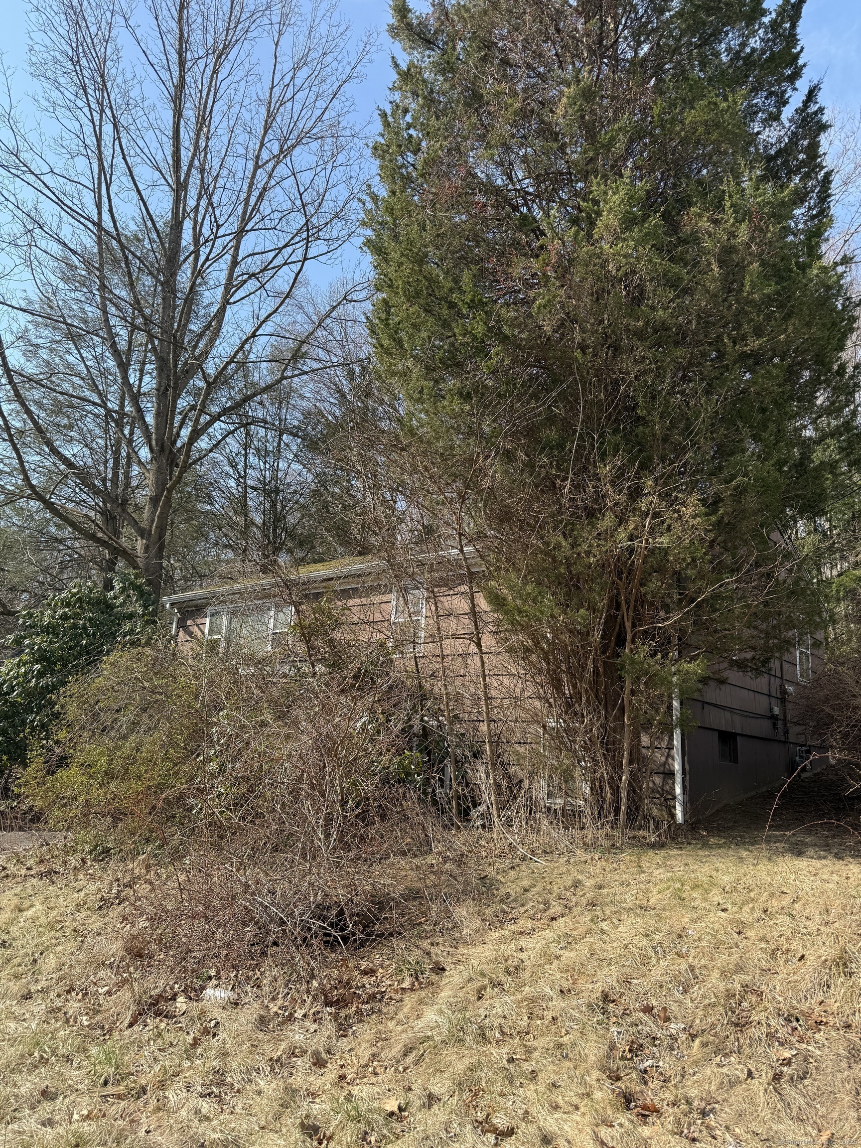 50 Laurel Avenue, Derby, Connecticut image 2